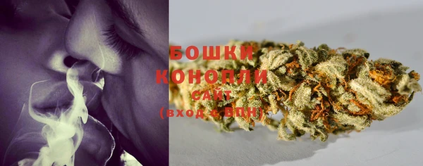 индика Вяземский
