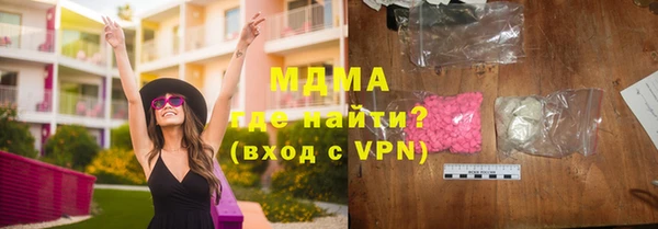 индика Вяземский