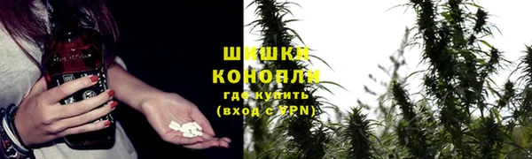 гашик Вязьма