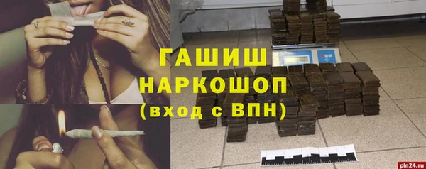 индика Вяземский