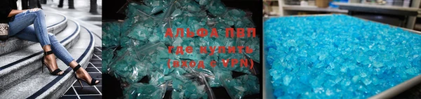 индика Вяземский