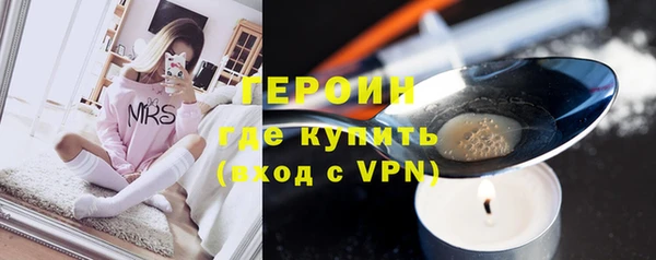 индика Вяземский