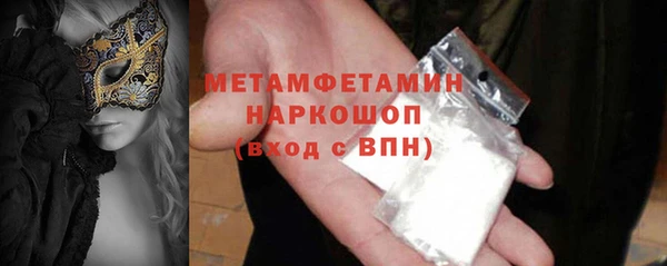 индика Вяземский