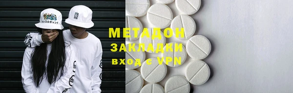 индика Вяземский