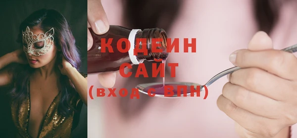 индика Вяземский