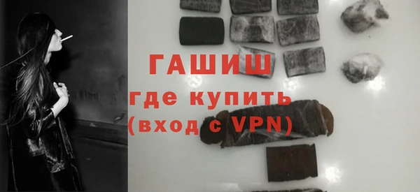 индика Вяземский