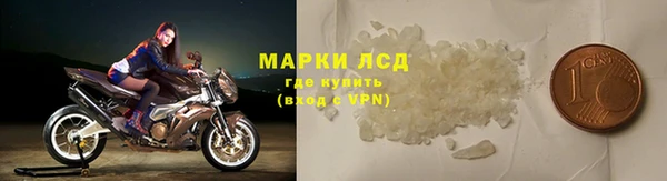 индика Вяземский