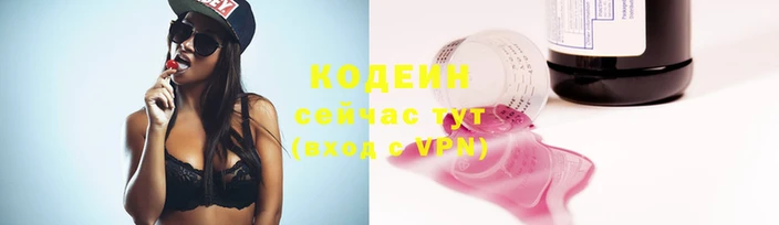 гашик Вязьма