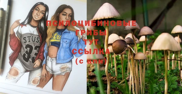 индика Вяземский