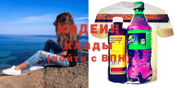 индика Вяземский