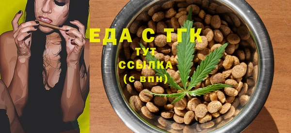 индика Вяземский
