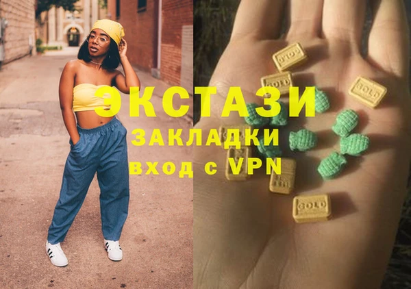 индика Вяземский
