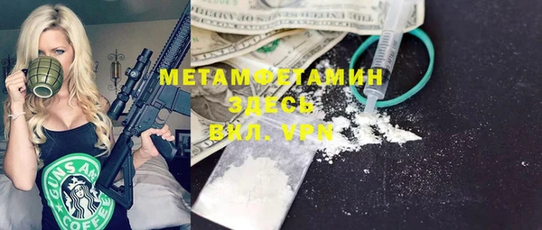индика Вяземский