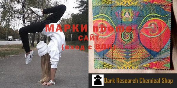 индика Вяземский