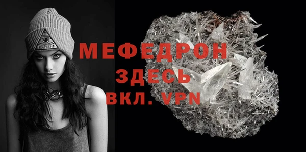 индика Вяземский